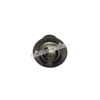 Genuine Tata Indica Thermostate Valve