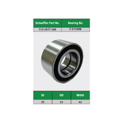 FAG Maruti WagonR Rear Wheel Bearing