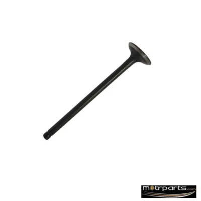 Genuine Hyundai I10 Intake Valve