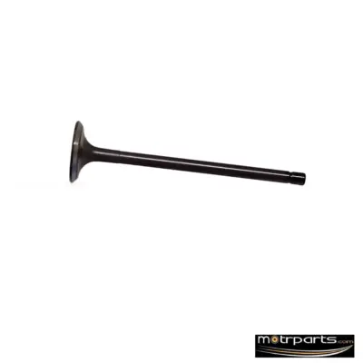 Genuine Hyundai I20 Elite Intake Valve