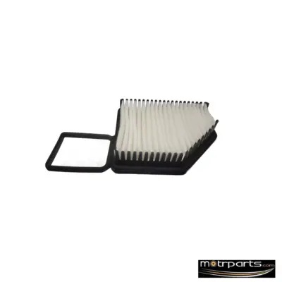 Genuine Hyundai Santro Air Filter Type 2