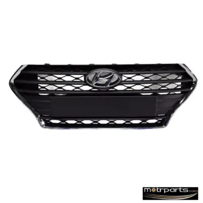 Genuine Hyundai Verna Front Grill Type 2