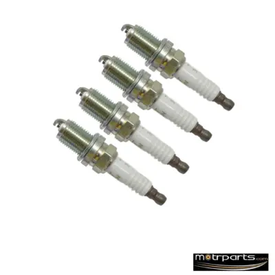 NGK Fiat Palio Conventional Spark Plug