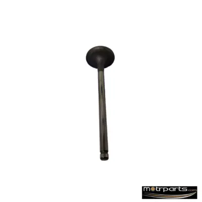 Genuine Hyundai Eon Intake Valve