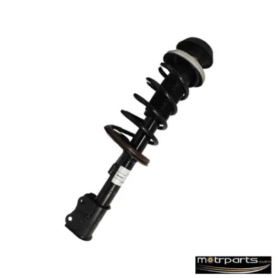 Gabriel Maruti Ritz Petrol Front Strut Assy Left