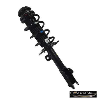 Monroe Maruti Swift Diesel Front Strut Assy Left Type 3