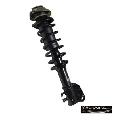 Monroe Maruti Alto Front Strut Assy Left