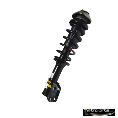 Monroe Maruti WagonR Front Strut Assy Right
