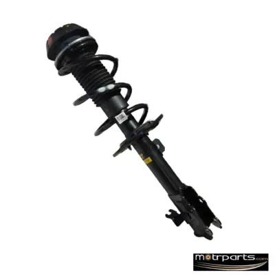 Monroe Maruti Baleno Petrol Front Strut Assy Right