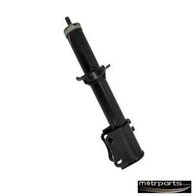 Monroe Maruti Eeco Front Strut Assy Right