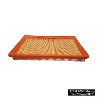 Elofic Hyundai Santro Air Filter