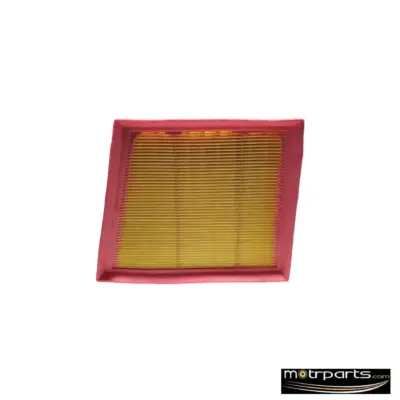 Genuine Ford Ecosport Air Filter