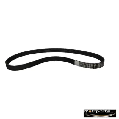 Genuine Ford Ecosport Drive Belt
