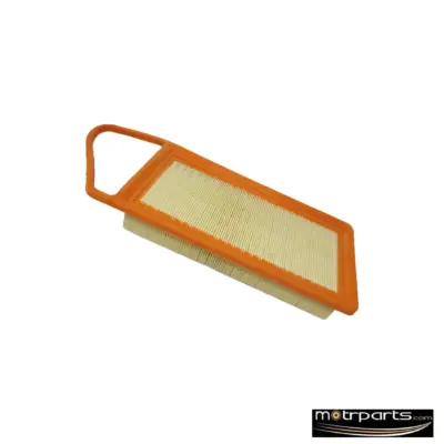 Genuine Ford Fiesta Air Filter