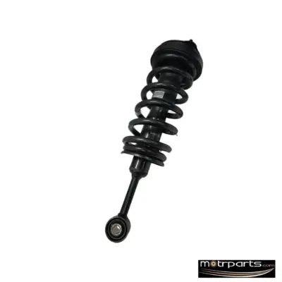 Genuine Tata Aria Front Strut Assy