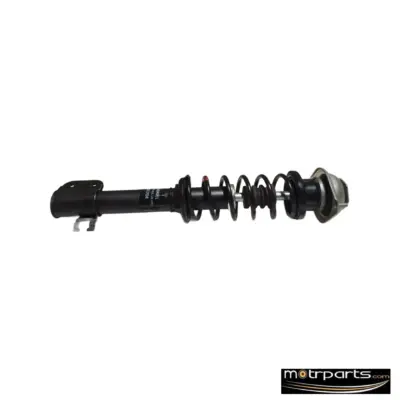 Gabriel Tata Nano Front Strut Assy Left
