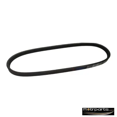 Genuine Maruti Baleno Water Pump Belt