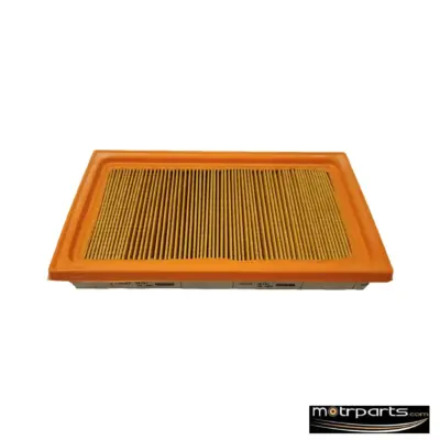 Genuine Nissan Sunny Air Filter