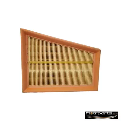 Genuine Nissan Terrano Petrol Air Filter