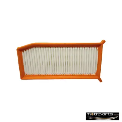 Genuine Nissan Kicks Air Filter