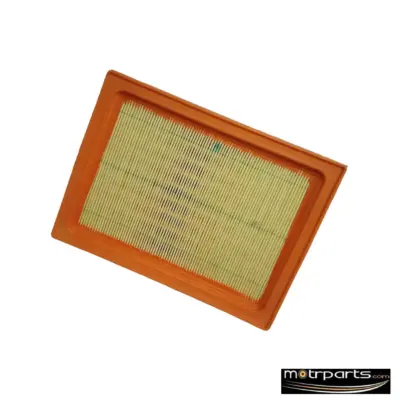 Genuine Renault Pulse Air Filter