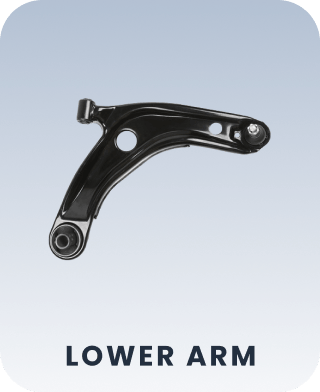 Lower Arm