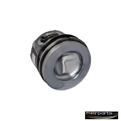 Genuine Ford Ecosport Piston