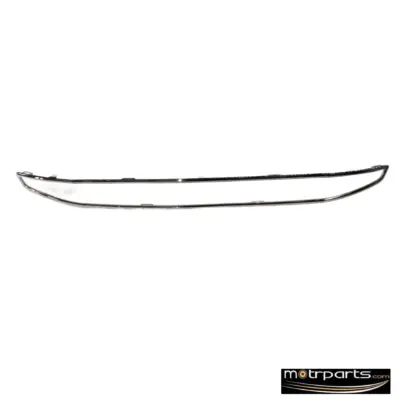 Genuine Ford Ecosport Front Lower Grill