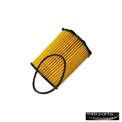 Genuine Ford Ecosport Oil Filter
