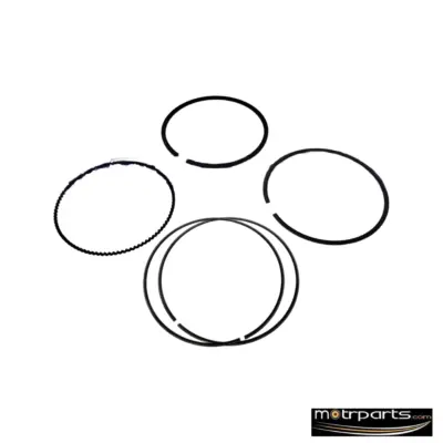 Genuine Ford Figo Aspire Piston Ring