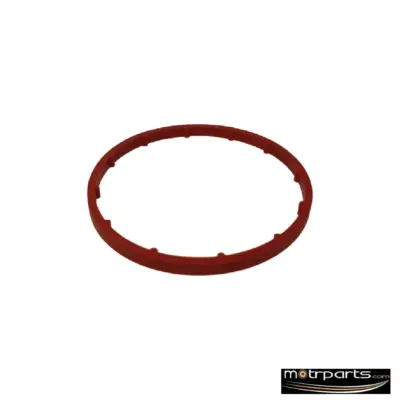 Genuine Ford Figo O Ring