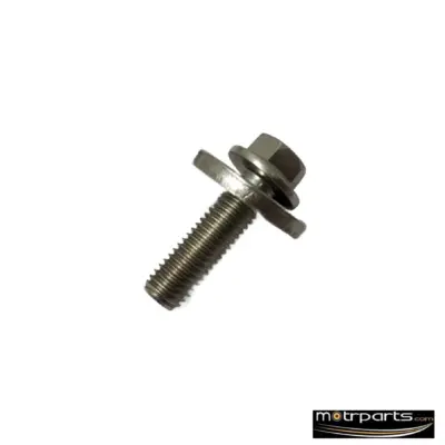 Genuine Ford Figo Screw and Washer