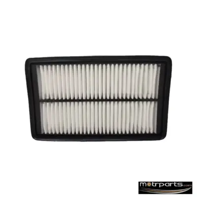 Sofima Hyundai Santro Air Filter