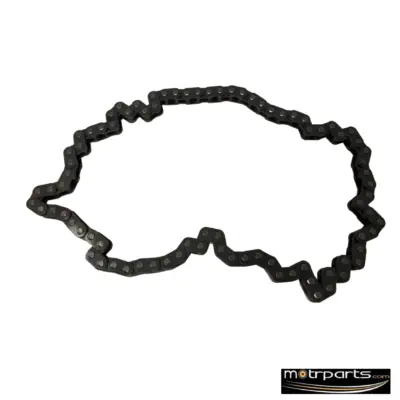 INA Hyundai Xcent Timing Chain