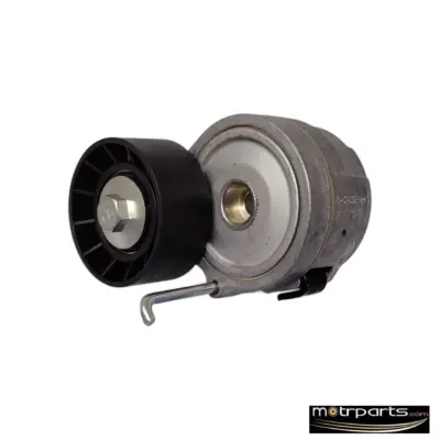 INA Tata Bolt Fan Belt Tensioner
