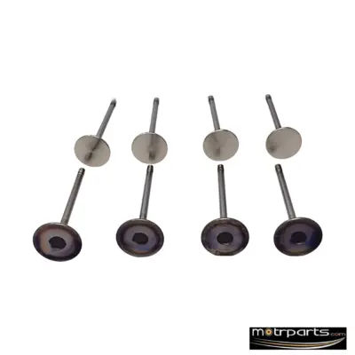 Kar Ford Fiesta Engine Valve