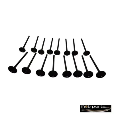 Kar Hyundai I10 Engine Valve Inlet