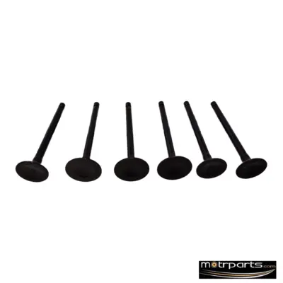 Kar Maruti 800cc Engine Valve