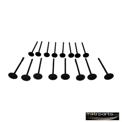 Kar Maruti SX4 Engine Valve