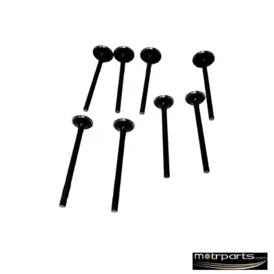 Kar Maruti Zen Petrol Engine Valve
