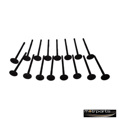 Kar Tata Indica Engine Valve