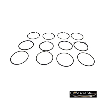 Genuine Mahindra XUV 500 Piston Ring Kit