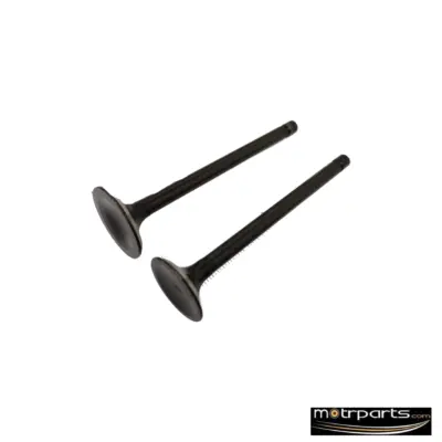Genuine Maruti 1000cc Valve Set