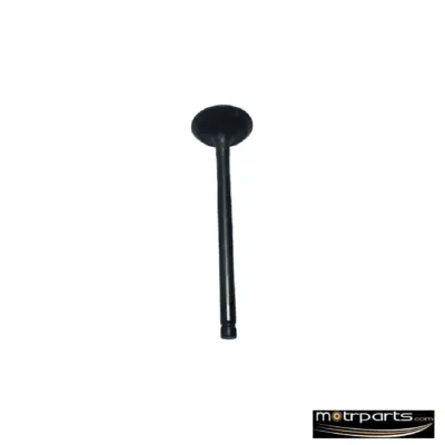 Genuine Maruti 800cc Intake Valve
