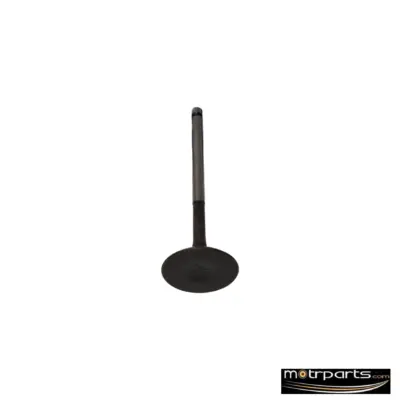 Genuine Maruti Alto K10 Intake Valve