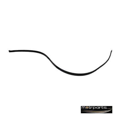 Genuine Maruti WagonR Roof Moulding Right