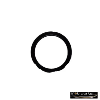 Genuine Ford Ecosport Rear Crank Case Oil Seal