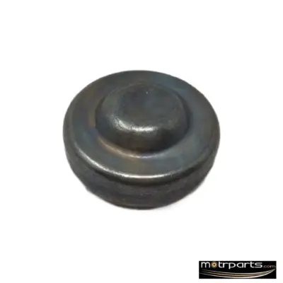 Genuine Ford Ecosport Plug Engine