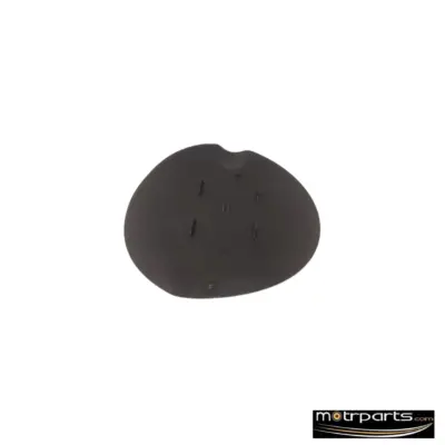 Genuine Ford Ecosport Fuel Door Lid