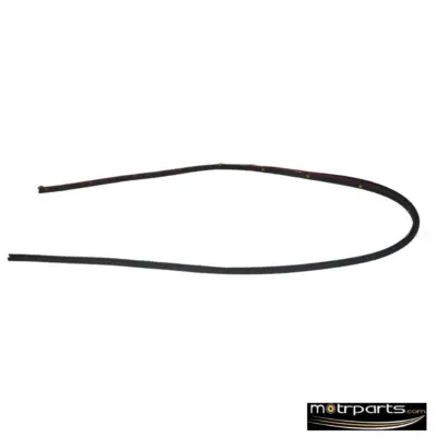 Genuine Ford Fiesta Door Weather Strip Assy